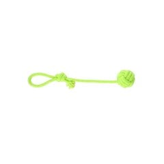 Žaislas šunims Dingo Energy kamuoliukas su rankena, žalias, 6x40 cm kaina ir informacija | Žaislai šunims | pigu.lt