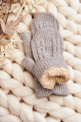 Warm Women's One-Fingered Gray Gloves 29451-208 цена и информация | Женские перчатки | pigu.lt