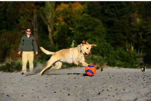 ChuckIt kamuoliukas šunims Kick Fetch, S, oranžinis/mėlynas kaina ir informacija | Žaislai šunims | pigu.lt