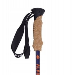 Ėjimo lazdos Alpinus Monte Rosa NX11315, 65-135 cm kaina ir informacija | Ėjimo lazdos | pigu.lt