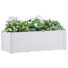 Lovelis su savaiminio laistymo sistema 100x43x33cm kaina ir informacija | Loveliai | pigu.lt