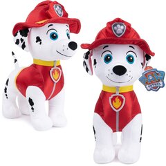 Minkštas žaislas Paw Patrol (Šunyčiai Patruliai) Maršalas, 29 cm цена и информация | Мягкие игрушки | pigu.lt