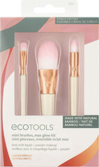 Makiažo šepetėlių rinkinys Ecotools Ready Glow Limited edition 3 dalys kaina ir informacija | Makiažo šepetėliai, kempinėlės | pigu.lt