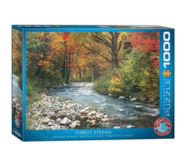 Dėlionė Eurographics, 6000-2132, Forest Stream, 1000 d. kaina ir informacija | Dėlionės (puzzle) | pigu.lt