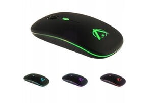 Mouse RGB kaina ir informacija | Žaidimų kompiuterių priedai | pigu.lt