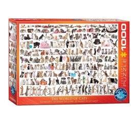 Dėlionė Eurographics, 6000-0580, The World of Cats, 1000 d. kaina ir informacija | Dėlionės (puzzle) | pigu.lt