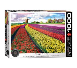 Dėlionė Eurographics, 6000-5326, Tulip Fields, 1000 d. kaina ir informacija | Dėlionės (puzzle) | pigu.lt