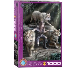 Dėlionė Eurographics, 6000-5476, The Power of Three, 1000 d. kaina ir informacija | Dėlionės (puzzle) | pigu.lt