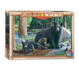 Dėlionė Eurographics, 6000-0793, New Discoveries, 1000 d. kaina ir informacija | Dėlionės (puzzle) | pigu.lt