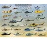 Dėlionė Eurographics, 6000-0088, Military Helicopters, 1000 d. kaina ir informacija | Dėlionės (puzzle) | pigu.lt