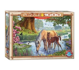 Dėlionė Eurographics, 6000-0976, The Fell Ponies, 1000 d. kaina ir informacija | Dėlionės (puzzle) | pigu.lt