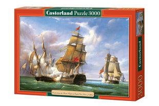 Dėlionė Castorland Puzzle Combat…, 21st April 1806, P.J. Gilbert, 3000 d. kaina ir informacija | Dėlionės (puzzle) | pigu.lt