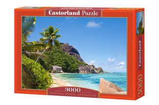 Dėlionė Castorland Puzzle, 3000 d. kaina ir informacija | Dėlionės (puzzle) | pigu.lt