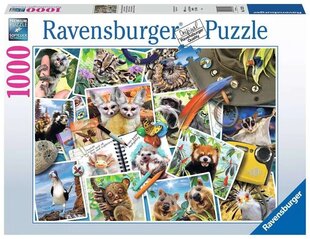 Dėlionė gyvūnai Ravensburger 17322, 1000 d. kaina ir informacija | Dėlionės (puzzle) | pigu.lt