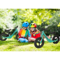 Trike Fix Active X2 krosinis dviratis žalias цена и информация | Балансировочные велосипеды | pigu.lt