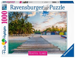 Пазл Ravensburger Maldives Paradise, 16912, 1000 д. цена и информация | Пазлы | pigu.lt