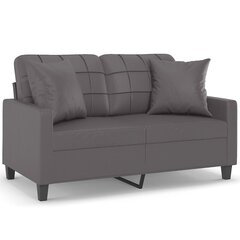 Dvivietė sofa , pilka kaina ir informacija | Sofos | pigu.lt