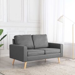 Dvivietė sofa, pilka kaina ir informacija | Sofos | pigu.lt