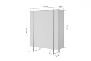 Комод Bogart Verica 120, коричневый цвет цена и информация | Комоды | pigu.lt