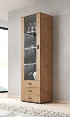 Vitrina Cama Meble Soho S1, ruda/juoda kaina ir informacija | Vitrinos, indaujos | pigu.lt