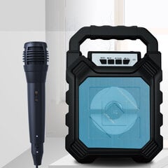 VisTiek SK-668 su mikrofonu kaina ir informacija | Garso kolonėlės | pigu.lt