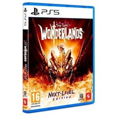 PlayStation 5 vaizdo žaidimas 2K GAMES Tiny Tina's Wonderlands kaina ir informacija | Kompiuteriniai žaidimai | pigu.lt