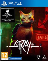 Stray PS4 цена и информация | Компьютерные игры | pigu.lt