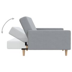 Dvivietė sofa-lova, pilka цена и информация | Диваны | pigu.lt