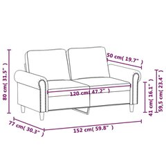 Dvivietė sofa, šviesiai pilkos spalvos, 120cm, aksomas kaina ir informacija | Sofos | pigu.lt