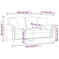 Dvivietė sofa , pilka kaina ir informacija | Sofos | pigu.lt