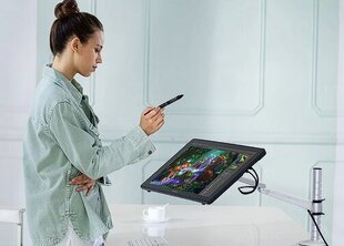 Huion Kamvas RDS 220 2.5K kaina ir informacija | Piešimo planšetės | pigu.lt