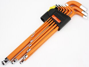 Raktai TORX T10 - T50 9 vnt. kaina ir informacija | Mechaniniai įrankiai | pigu.lt