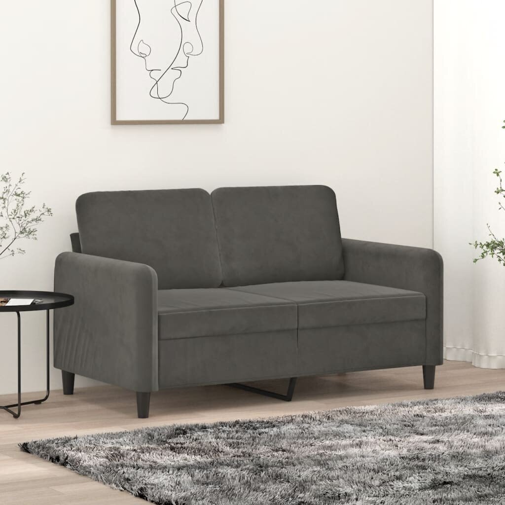 Dvivietė sofa, tamsiai pilkos spalvos, 120cm, aksomas kaina ir informacija | Sofos | pigu.lt