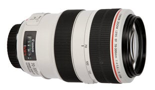 Canon EF 70-300mm f/4-5.6L IS USM цена и информация | Объективы | pigu.lt