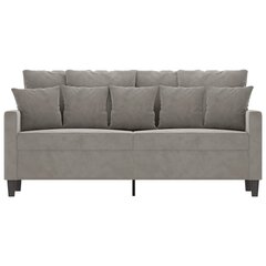 Dvivietė sofa, šviesiai pilkos spalvos, 140cm, aksomas kaina ir informacija | Sofos | pigu.lt