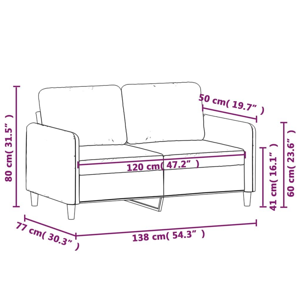 Dvivietė sofa, šviesiai pilkos spalvos, 120cm, aksomas цена и информация | Sofos | pigu.lt