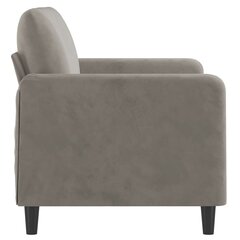 Dvivietė sofa, šviesiai pilkos spalvos, 120cm, aksomas kaina ir informacija | Sofos | pigu.lt