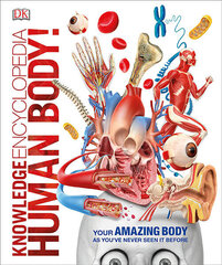 Knowledge Encyclopedia Human Body! kaina ir informacija | Enciklopedijos ir žinynai | pigu.lt