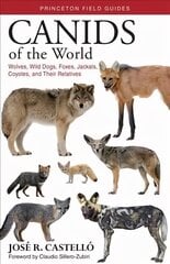 Canids of the World: Wolves, Wild Dogs, Foxes, Jackals, Coyotes, and Their Relatives kaina ir informacija | Enciklopedijos ir žinynai | pigu.lt