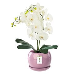 Gėlių vazonas Gėlių sodinukas Rausvas rutulys Gėlių dubuo su lėkštele Apvalus ŠxV 170 mm x 160 mm Paviršius Blizgi keramika Modern Glamour kaina ir informacija | Vazonai | pigu.lt