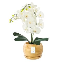 Gėlių vazonas Gėlių vazonas Šviesos medis Kamuolinis gėlių dubuo su lėkštele Apvalus ŠxV 170 mm x 160 mm Paviršius Matinė keramika Modern Glamour kaina ir informacija | Vazonai | pigu.lt