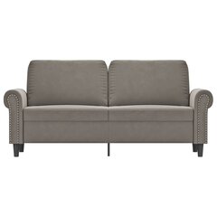 Dvivietė sofa, šviesiai pilkos spalvos, 140cm, aksomas kaina ir informacija | Sofos | pigu.lt