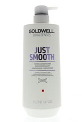 Glotninamasis kondicionierius nepaklusniems plaukams Goldwell Dualsenses Just Smooth, 1000 ml kaina ir informacija | Balzamai, kondicionieriai | pigu.lt