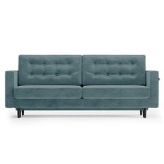 Трехместный диван Homede Lova, синий цвет цена и информация | Диваны | pigu.lt