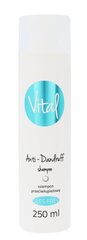 Stapiz Vital Anti-Dandruff Shampoo шампунь 250 мл цена и информация | Шампуни | pigu.lt