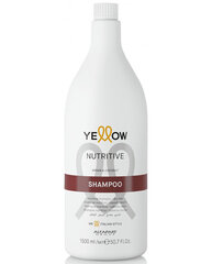 Šampūnas Alfaparf Yellow Nutritive, 1500 ml kaina ir informacija | Šampūnai | pigu.lt