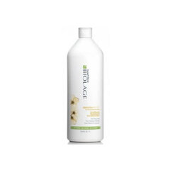 Glotninamasis plaukų kondicionierius Matrix Biolage Smoothproof Hair Conditioner, 1000ml kaina ir informacija | Balzamai, kondicionieriai | pigu.lt