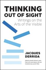 Thinking Out of Sight: Writings on the Arts of the Visible kaina ir informacija | Istorinės knygos | pigu.lt