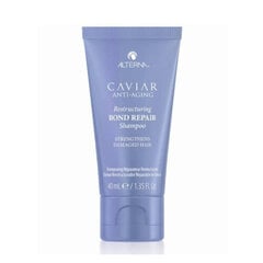 Šampūnas pažeistiems plaukams Alterna Caviar Anti-Aging, 250 ml цена и информация | Шампуни | pigu.lt