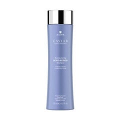 Šampūnas pažeistiems plaukams Alterna Caviar Anti-Aging, 250 ml цена и информация | Шампуни | pigu.lt